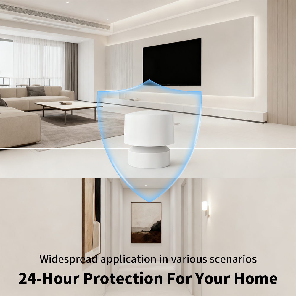 Zigbee or WiFi Smart Human Pre - Tasmota 评论和价格