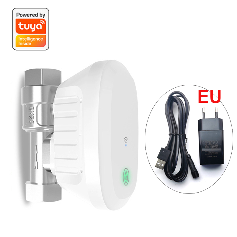 Smart WiFi Valve Meter Water F - Home Assistant Tuya 评论和价格