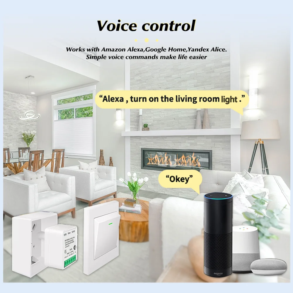 For Tuya Mini Smart WiFi Switc - Smart Relay Tuya 评论和价格